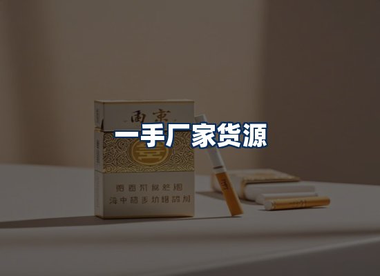 专业团队办公环境